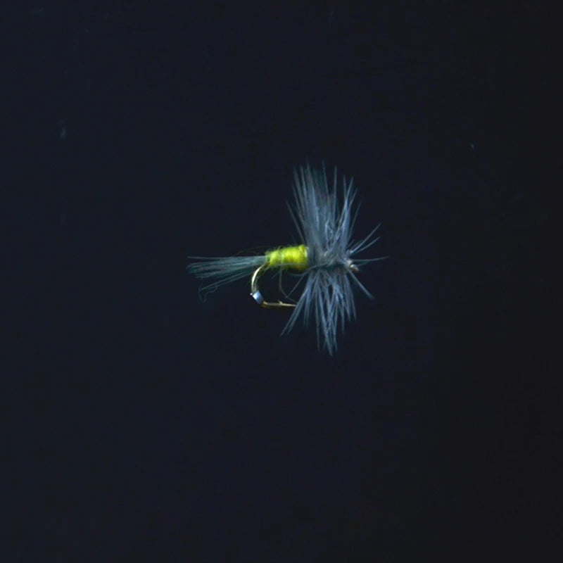 CONTEMPLATOR 16# 5pcs BLUE WINGED OLIVE Imitating Hatching Genus Baetis Nymphs Mayflies Fly Fishing Trout Common Used Dry Flies
