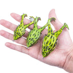 Frog Soft Bait Lure Fishing Tackle Weights 8.4-16.6g Rotating Silicone Double Hooks Bait Floating Topwater Lures Pesca Pike Fish