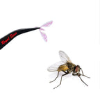 dry fly bionic rainbow film house flies wings artificial selected 10pairs clear grains lifelike insect wing fly tying materials