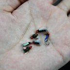 Topranc Fly Fishing Dry Flies Bionic Insect Fly Bait Suitable for Bass Trout Carp Reflective Woven Material With Double Winged