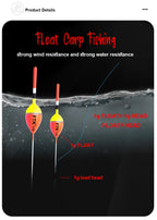 5 Carp Fishing Floats, Vertical Float, Big Belly Float, Wild Fishing, Eye catching Shallow Water Float, Fishing Gear Supplies