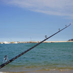Fishing Rod for Catching Big Fish, Ultra-Long Casting, Ultra-Hard Xxh Fishing Rod, Long-Distance Casting Rod, Sea Rod, Casting Rod, Specialized Rod for Carp and Bighead Carp