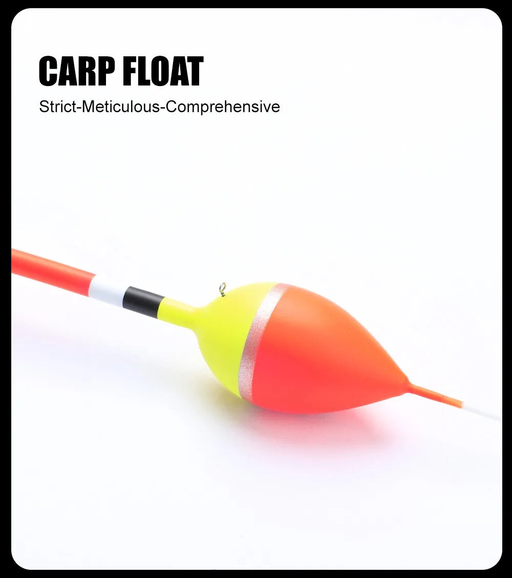 5 Carp Fishing Floats, Vertical Float, Big Belly Float, Wild Fishing, Eye catching Shallow Water Float, Fishing Gear Supplies
