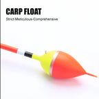 5 Carp Fishing Floats, Vertical Float, Big Belly Float, Wild Fishing, Eye catching Shallow Water Float, Fishing Gear Supplies