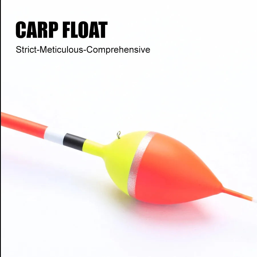 5 Carp Fishing Floats, Vertical Float, Big Belly Float, Wild Fishing, Eye catching Shallow Water Float, Fishing Gear Supplies